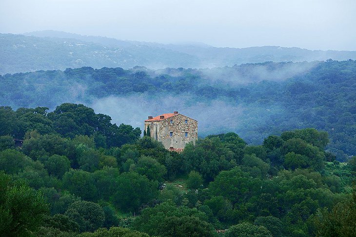 Murtoli - A Figa in the middle of Corsica nature