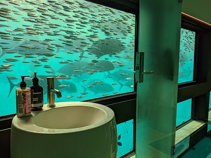 Reefsuites Hotel Underwater Bathroom Window