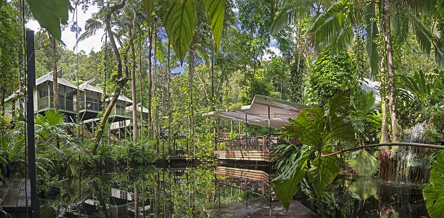 Daintree Eco Lodge and Spa - Aboriginal Paradise In The World's Oldest Jungle