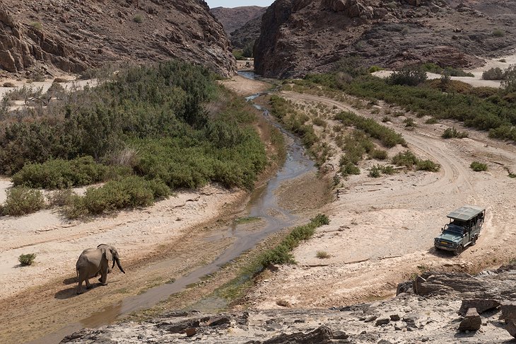 Purros, Namibia jeep safari and elephants