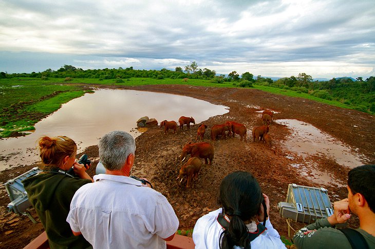 The Ark Kenya animal spotting platform