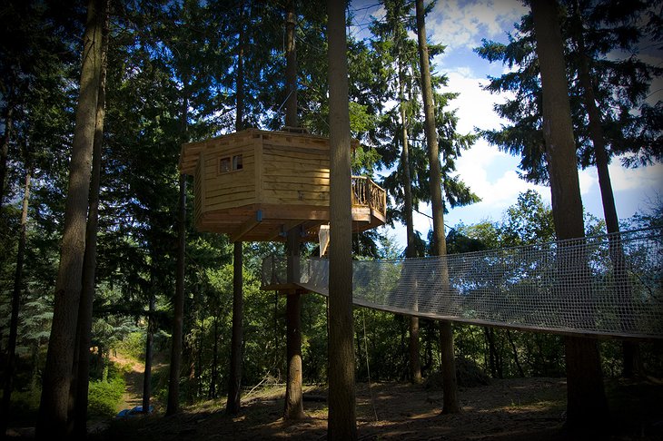 Cabanes Als Arbres tree house with suspension bridge