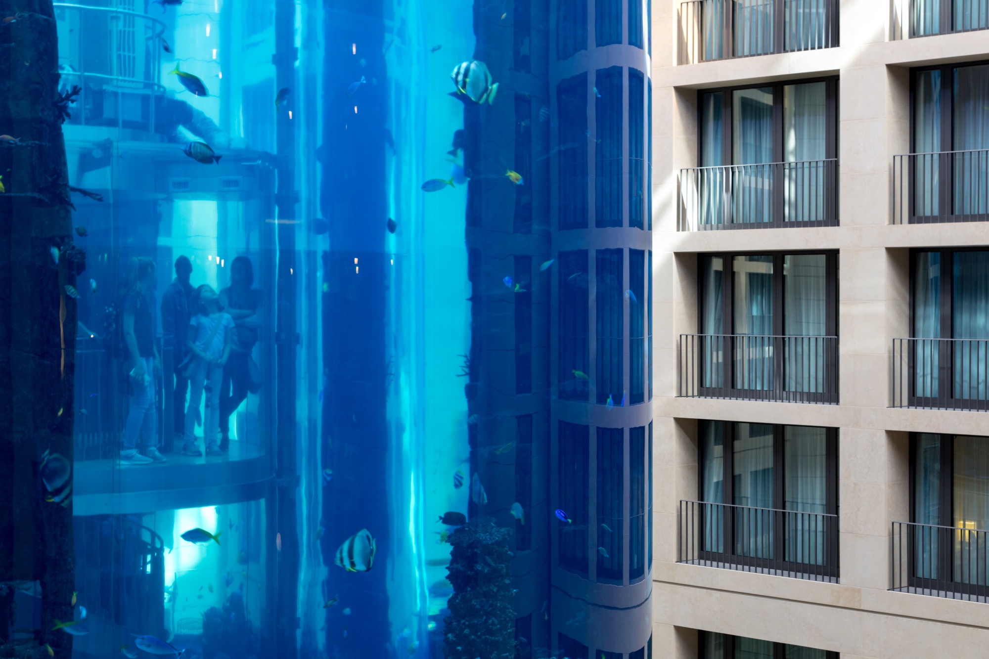 Radisson Blu Berlin - The Home Of The Freestanding, Aquarium