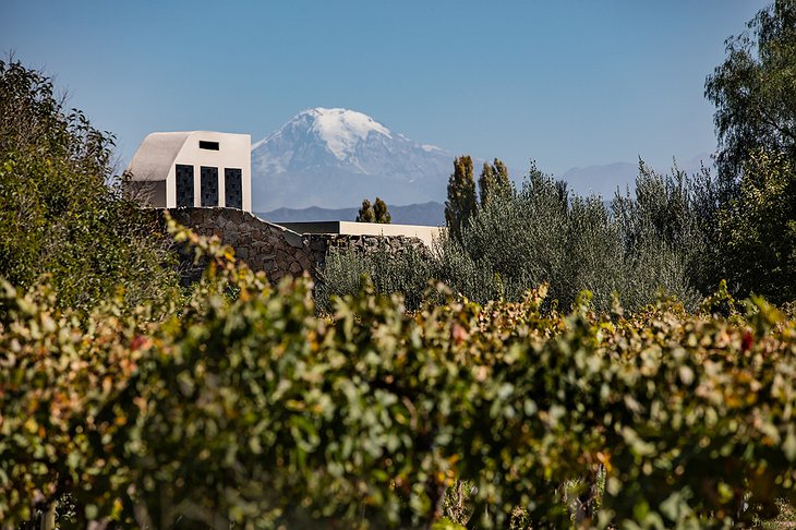 Cavas Wine Lodge Villa Among The Vineyards