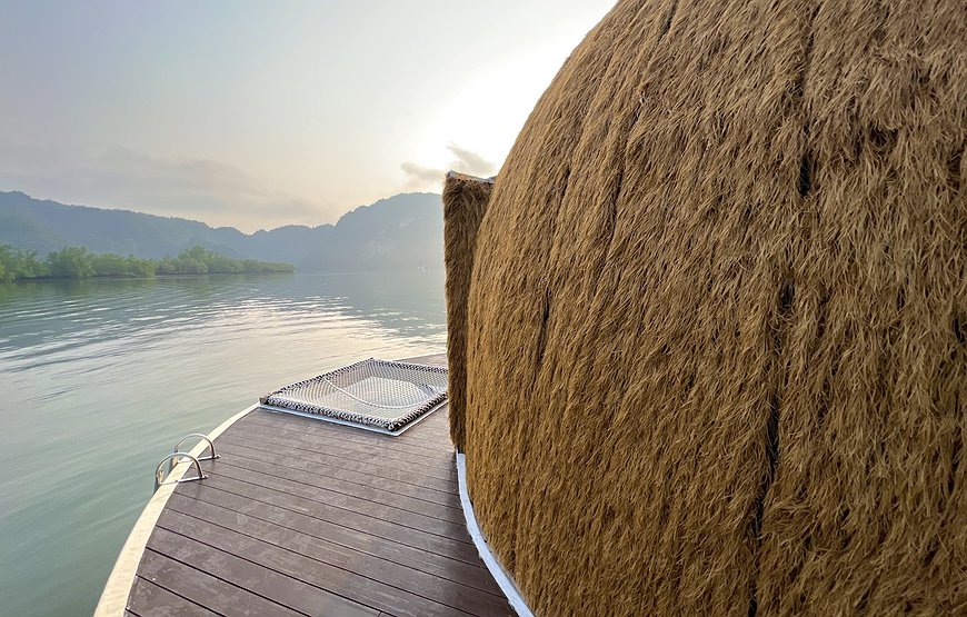 Coconest - A Floating Coconut in the Mangroves