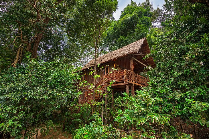 Wa Ale Resort Treetop Villa Treehouse Accommodation