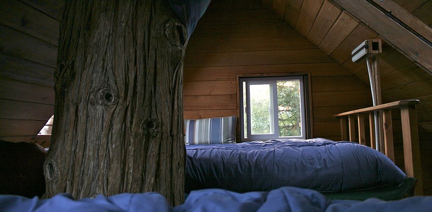 Cedar Creek Treehouse - Off-The-Grid Adventure In A Treehouse