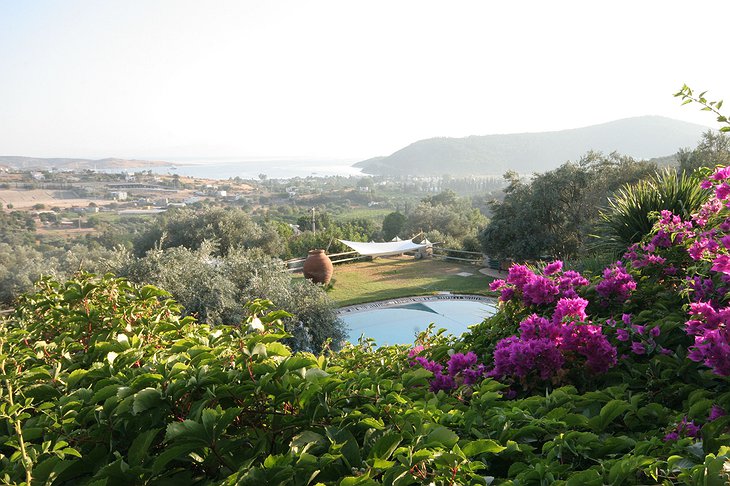 Antik Zeytin Hotel views