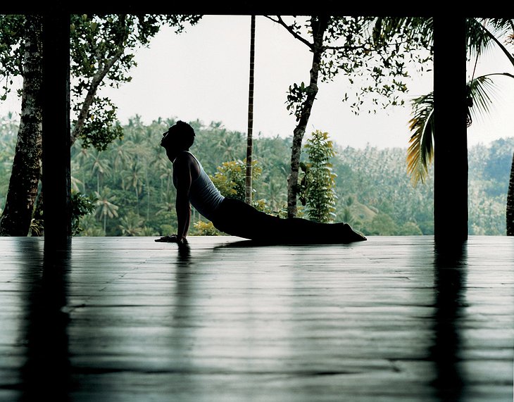 Yoga with jungle views