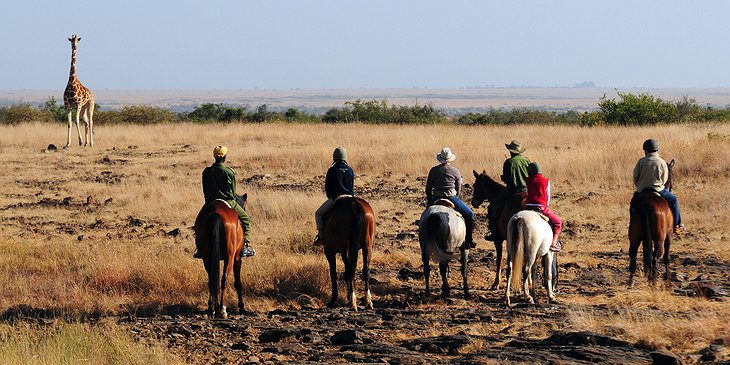 Horse safari