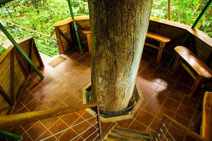 El Castillo treehouse stairs