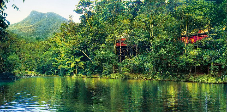 Silky Oaks Lodge - Sleep Inside The Lush Tropical Forests