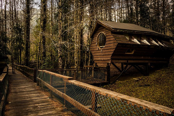 Canopy Village Treehouse