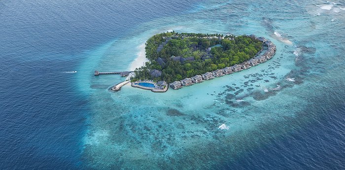 Taj Coral Reef Resort & Spa - Crown Jewel Of The Maldives
