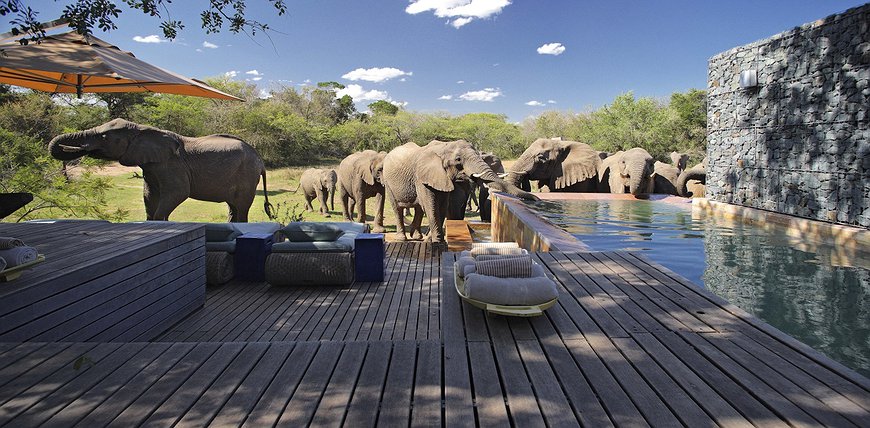 andBeyond Phinda Vlei Lodge - Private Villas In The South African Savanna