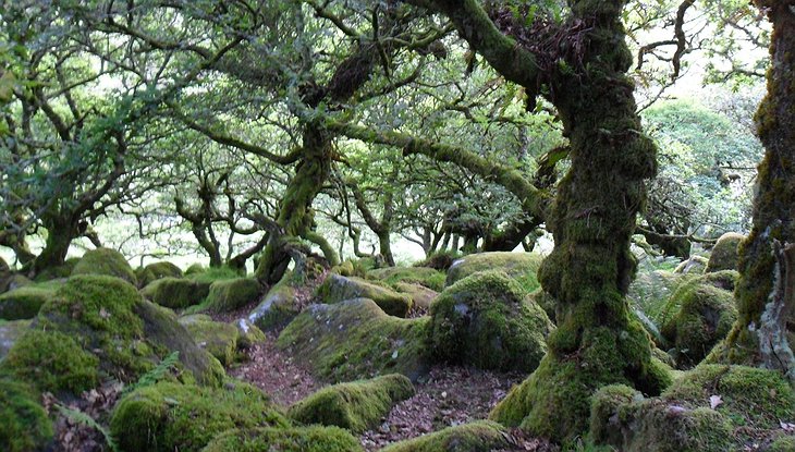 Cornwall nature