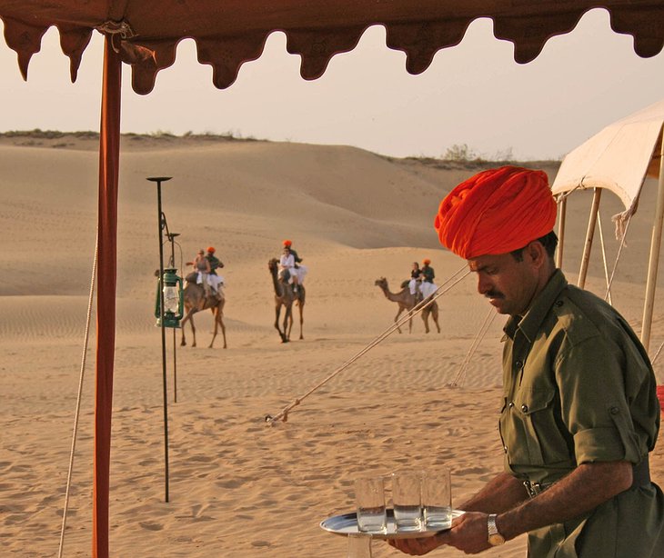 Camel Camp