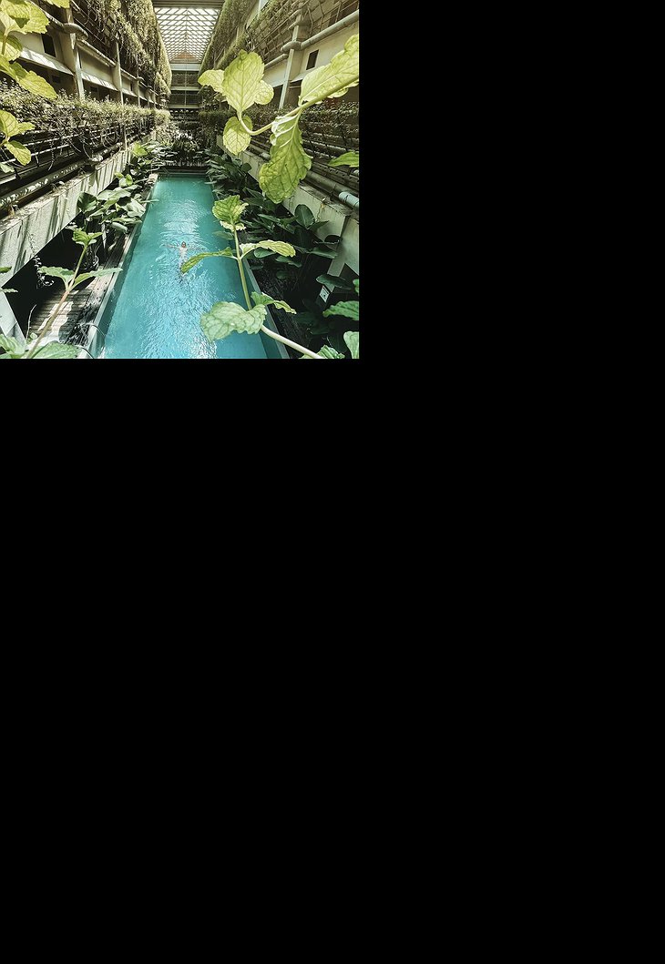 Greenhost Boutique Hotel Prawirotaman Jungle Pool