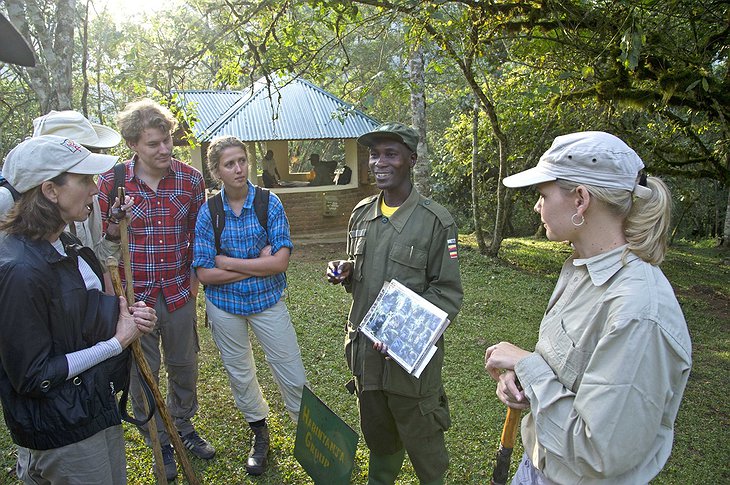 Uganda guide gorilla spotting briefing