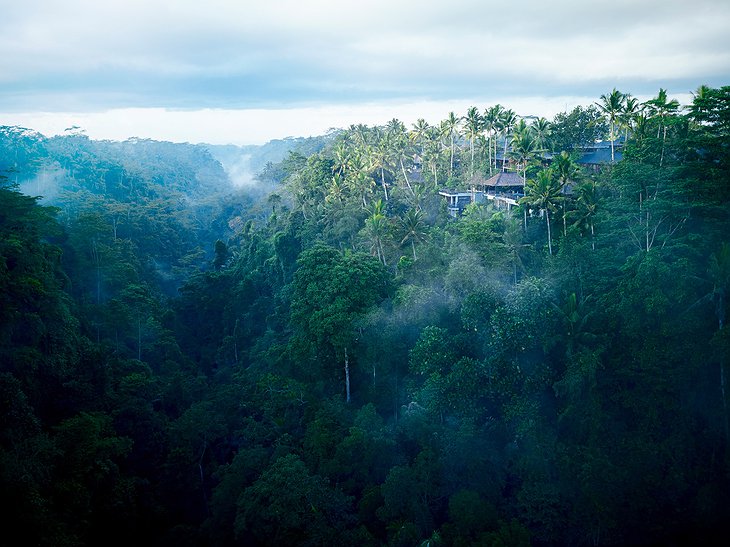 Hoshinoya Bali Hotel In The Jungle