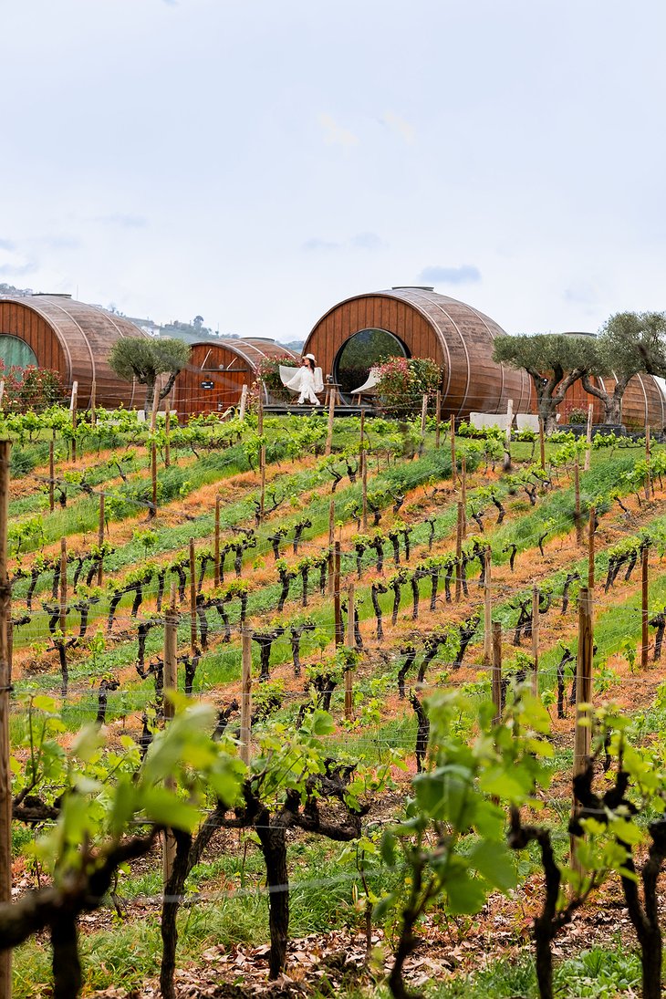 Quinta da Pacheca - Sleep in Wine Barrel-Shaped Rooms in Portugal's ...