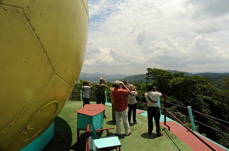 Canopy Tower observation deck