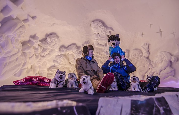 Ice room with couple and husky plush