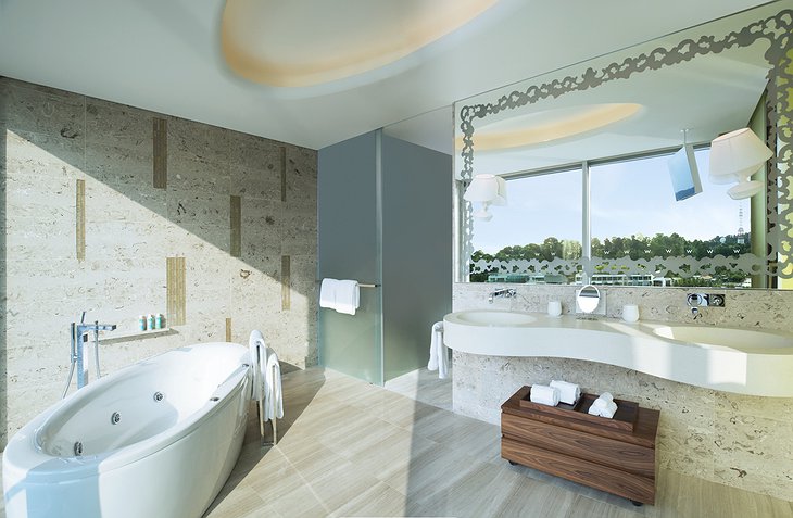 Fantastic Suite guest bathroom