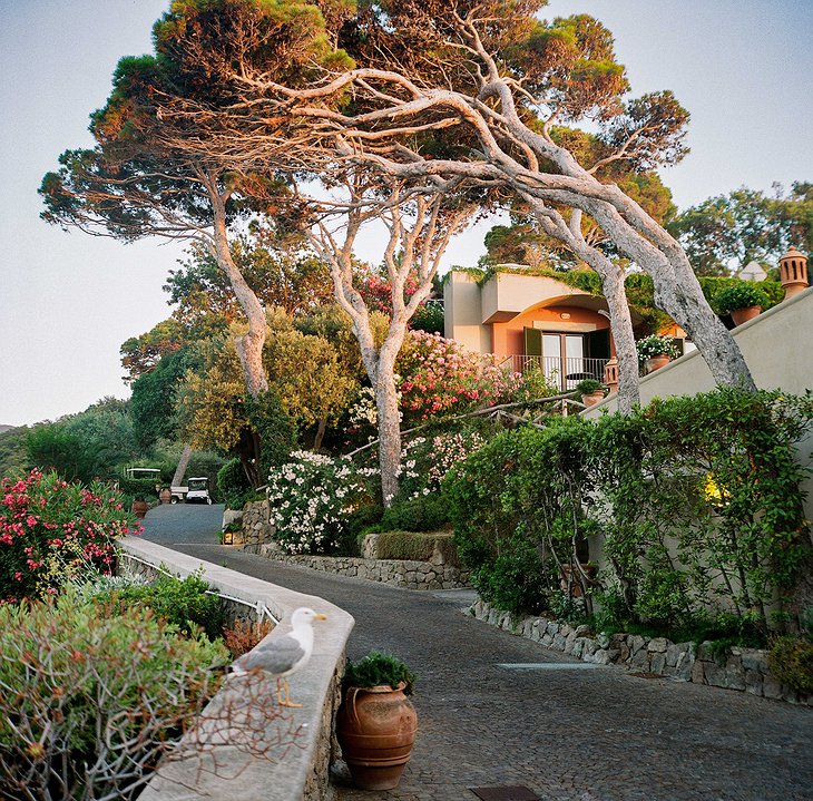 Mezzatorre Hotel Mediterranean Garden