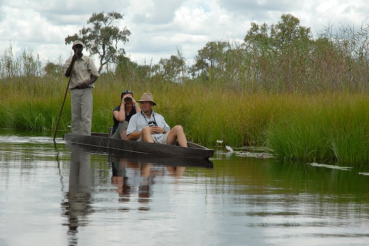 Safari on canoe