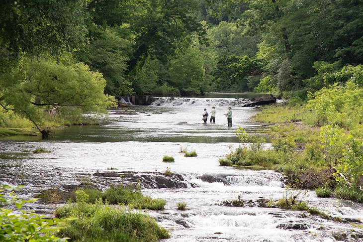 Greenbrier Resort Fishing