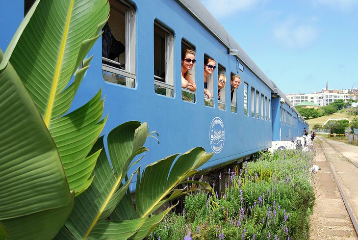 Santos Express train with people looking out of the window