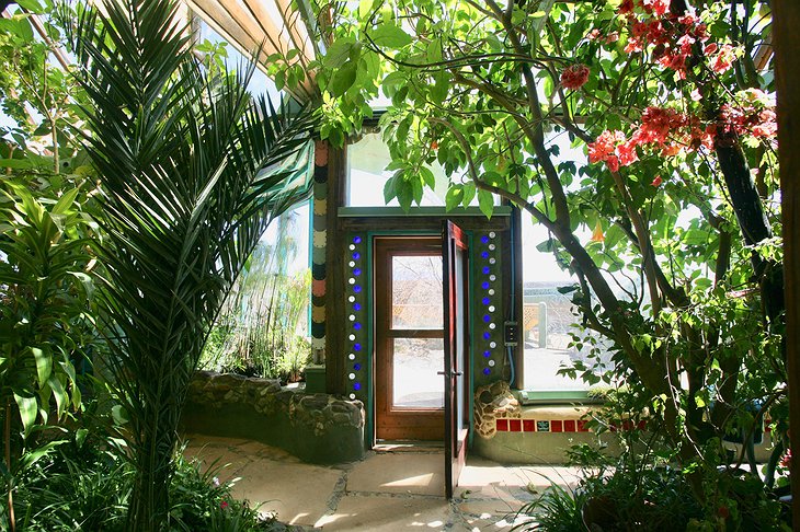 Earthship Indoor Plants