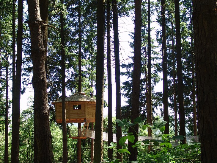 Cabanes Als Arbres tree house