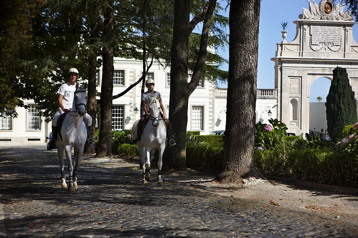 Horses at Sintra Castle Hotel