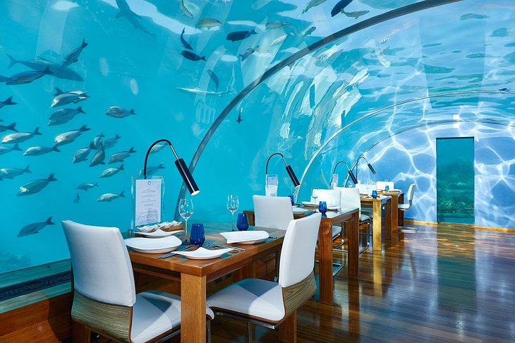 Ithaa Undersea Restaurant Dining