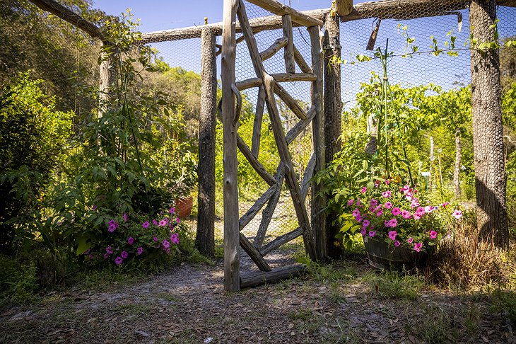 Little St. Simons Island Lodge Vegetable Garden