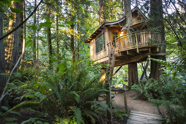 Upper Pond tree house exteior