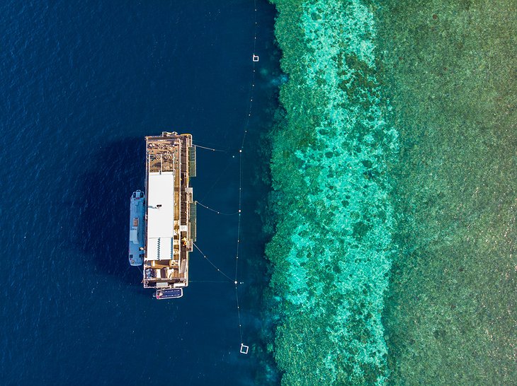 Reefsuites Hotel Next To Coral Reefs