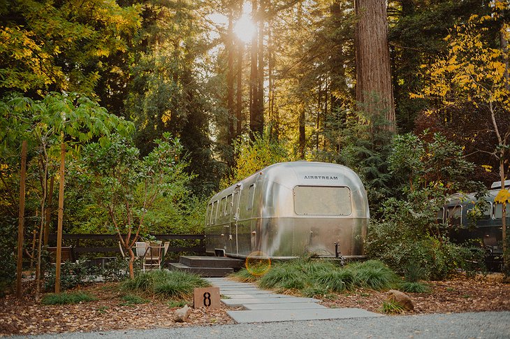 AutoCamp Russian River Airstream Suite Camper & Sequoia Trees