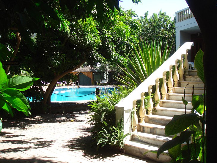 Safari Lodge Adama hotel stairs