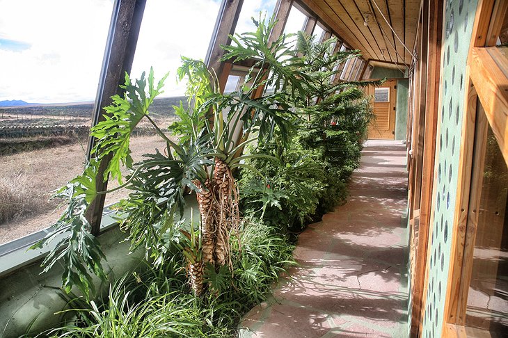 Earthship Greenhouse