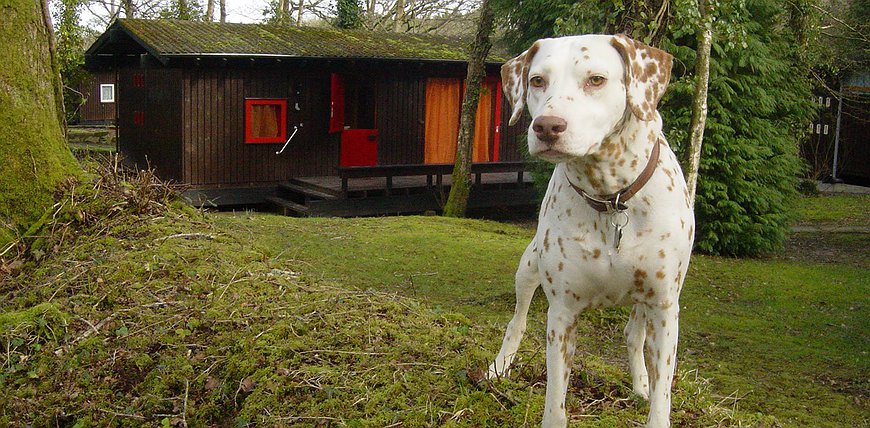 Caban Casita - Retro '70s Cabin In Wales