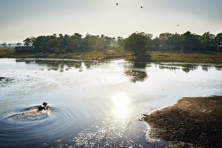 Belmond Eagle Island Lodge In The Okavango Delta