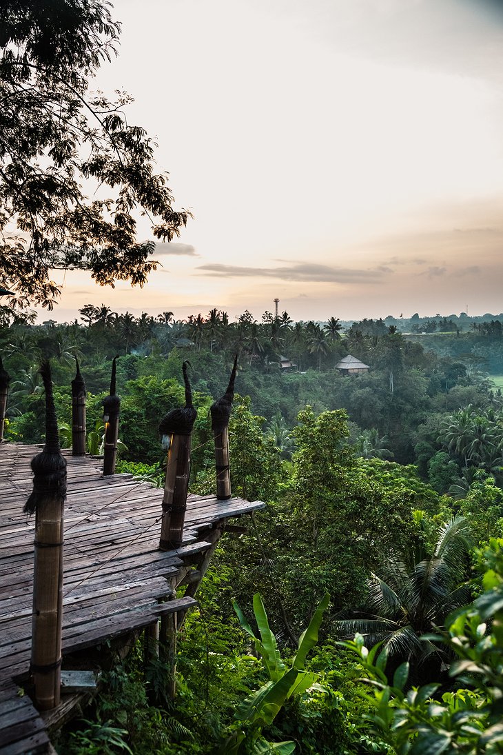 Ubud jungle views