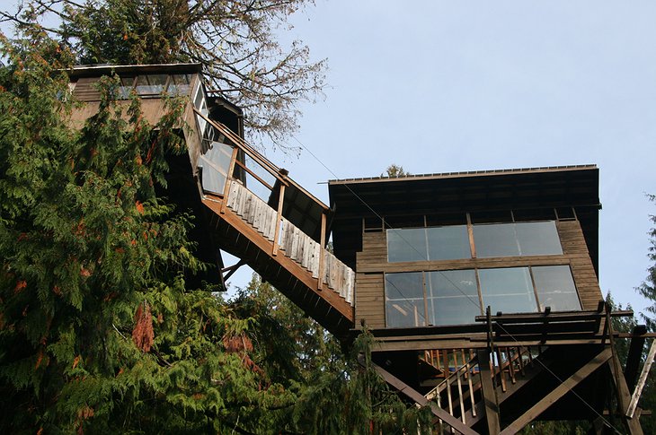 Cedar Creek Treehouse on the canopies