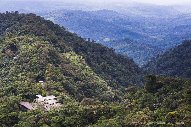 Mashpi Jungle Lodge