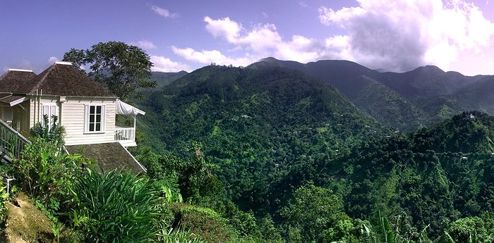 Strawberry Hill Resort - Lush Paradise In Jamaica