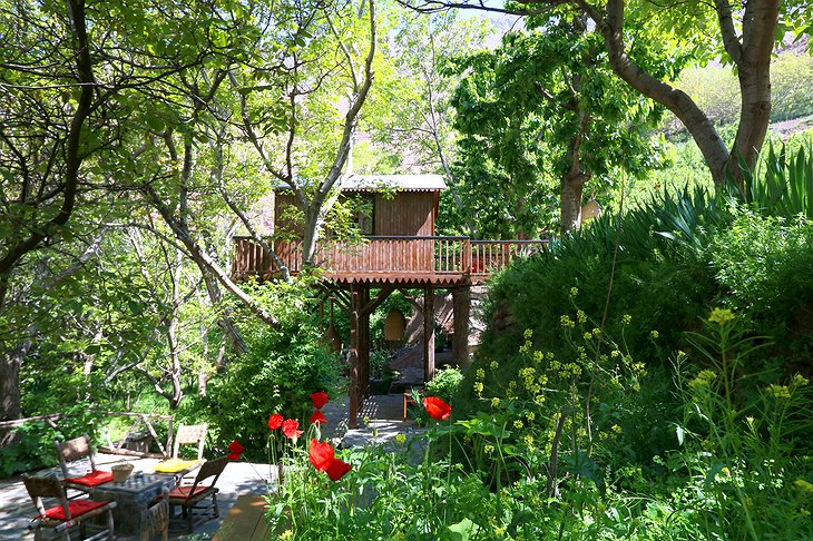 Douar Samra garden with the tree house