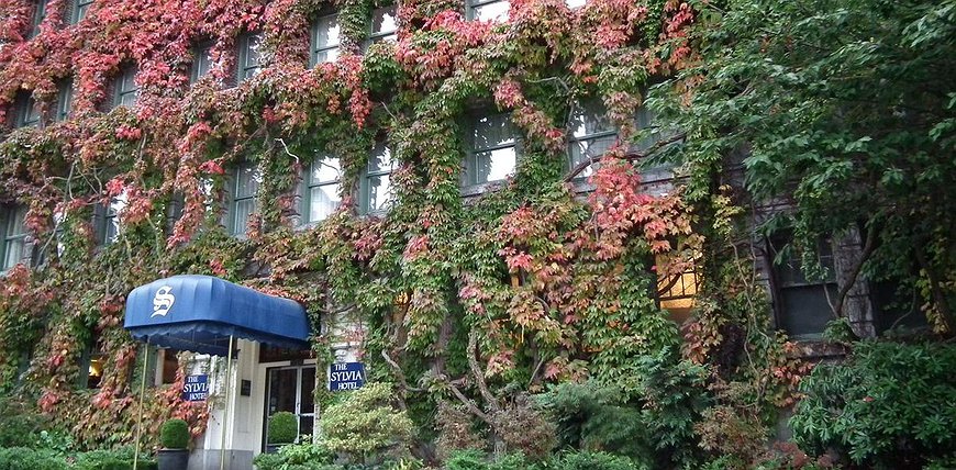 The Sylvia Hotel - Colorful Beachside Accommodation In Vancouver